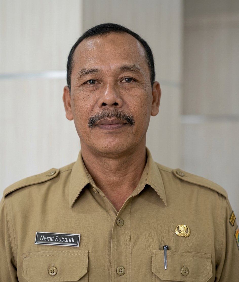 NEMIT SUBANDI